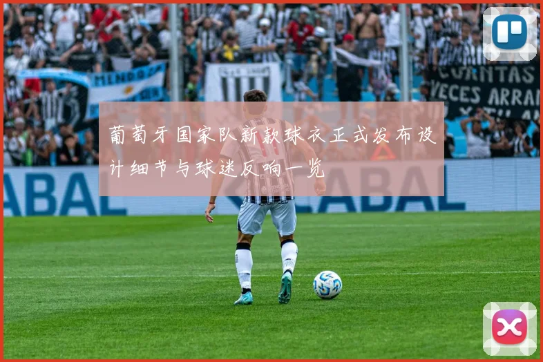 葡萄牙国家队新款球衣正式发布设计细节与球迷反响一览