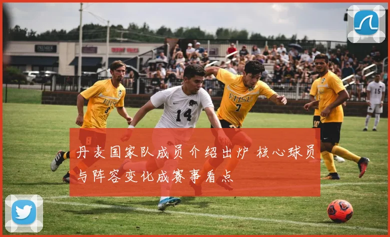 丹麦国家队成员介绍出炉 核心球员与阵容变化成赛事看点