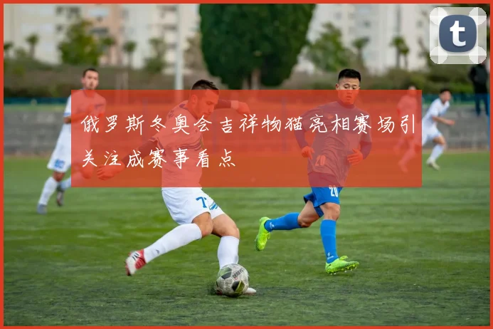 俄罗斯冬奥会吉祥物猫亮相赛场引关注成赛事看点